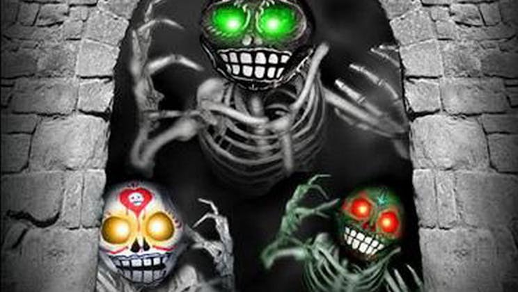 Skull Heads
